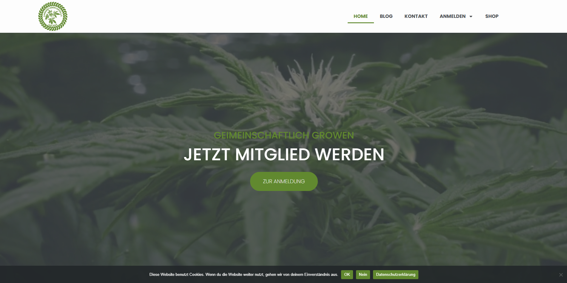 Referenz CSC Verein